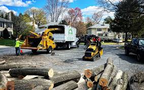 Best Commercial Tree Services  in Sweetwater, FL